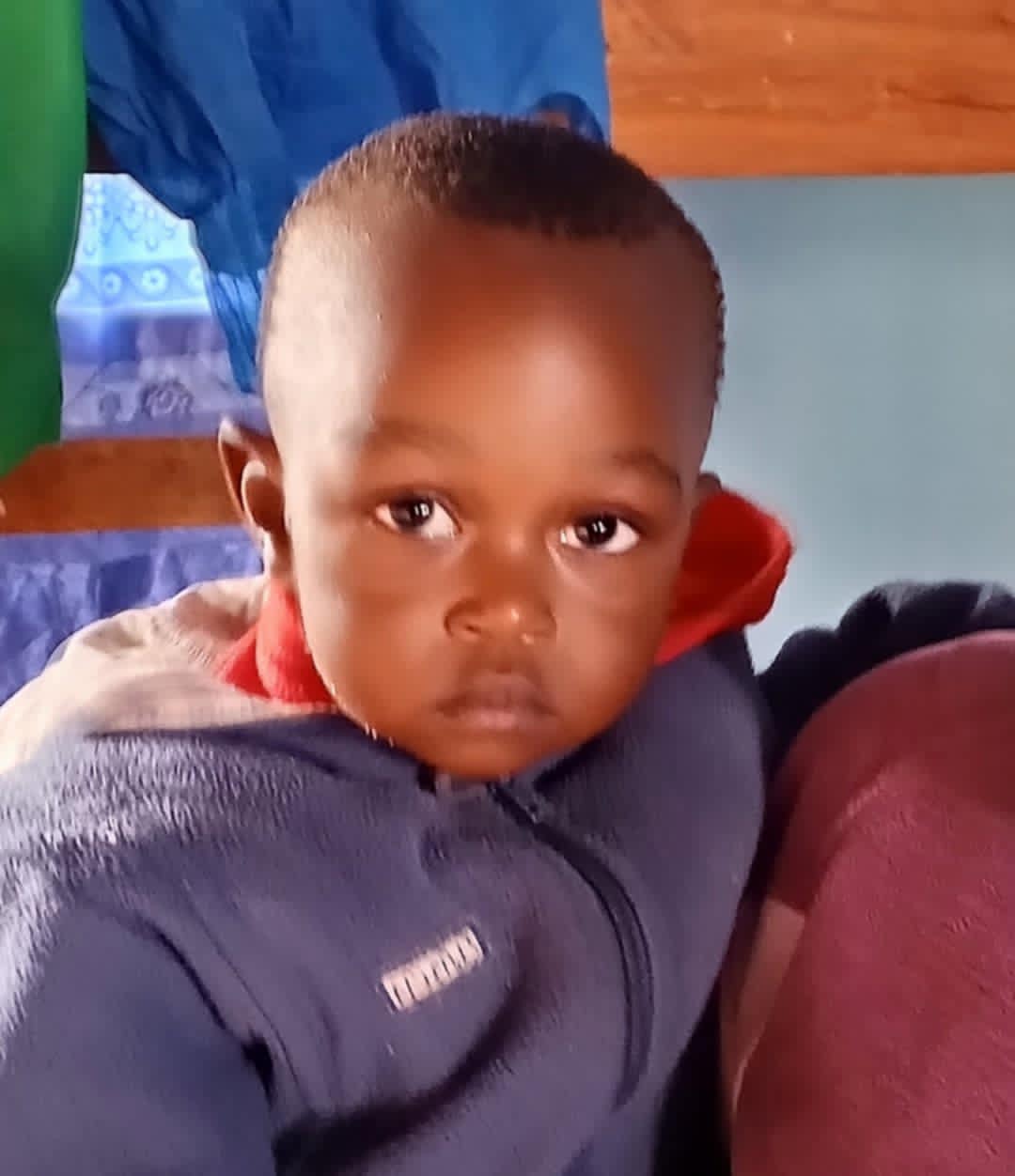 Guardiel Gift – brother to Brooklyn